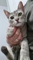 Zoe