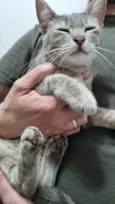 Zoe