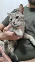 Zoe