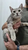 Zoe
