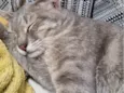 Zoe