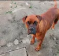 Bartolomeu