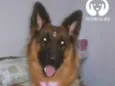 Nathasha