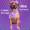 Nina