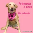 Princesa