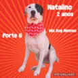 Natalino