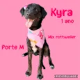 Kyra