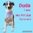 Duda