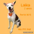 Laika