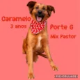 Caramelo