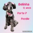 Belinha