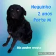 Neguinho