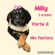 Milly