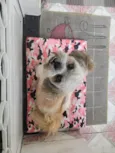 ROGÊ
