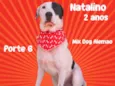 Natalino