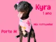Kyra