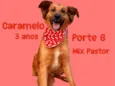 Caramelo
