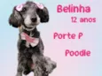 Belinha