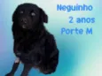 Neguinho