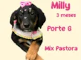 Milly