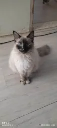 Lunna