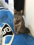 Meive