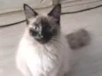 Lunna