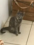 Meive