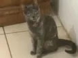 Meive