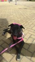Lua