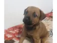 Ainda sem nome
