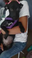 Zoe