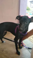 Zoe