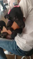 Zoe
