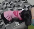 Zoe