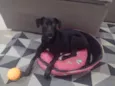 Zoe