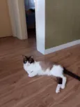 Théo