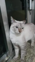 Frozen