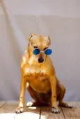 Balderete