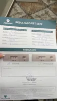 Cacau