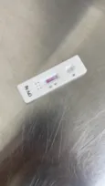 Cacau