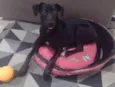 Zoe