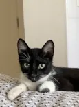 Mia