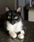 Mia