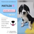 Matilda