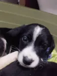 Matilda