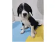 Matilda