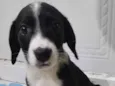 Matilda