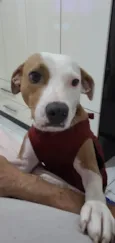 Charlene