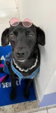 Neguinho